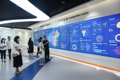 綿陽(yáng)科技城科技服務(wù)有限責(zé)任公司總經(jīng)理白永淑一行蒞臨園區(qū)，共商信息技術(shù)咨詢服務(wù)發(fā)展